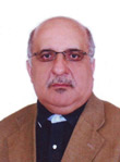 ناصر ملک شاد
